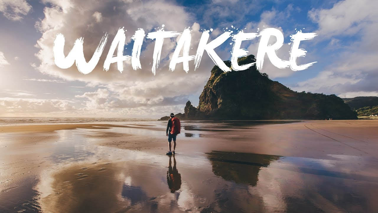 Things to do in Waitakere New Zealand